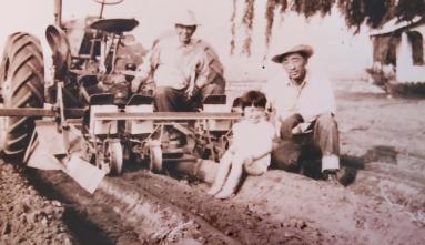 Great-Grandfather Takeo, Grandpa George, and Auntie Terry Tanaka, 1950.